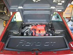 Fastback Trunk Cover